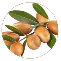 Organic Argan Oil | Natural Elements