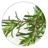 Revive Body Oil | Natural Elements